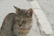 Thumbnail img_6166.jpg 