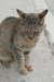 Thumbnail img_6167.jpg 
