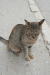 Thumbnail img_6168.jpg 