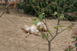 Thumbnail img_6169.jpg 