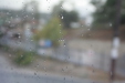 Thumbnail img_6174.jpg 