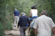 Thumbnail img_6175.jpg 