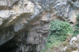 Thumbnail img_6176.jpg 