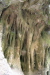 Thumbnail img_6180.jpg 