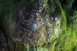 Thumbnail img_6183.jpg 