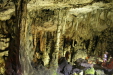 Thumbnail img_6184.jpg 