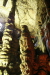 Thumbnail img_6188.jpg 
