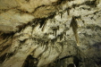 Thumbnail img_6190.jpg 