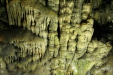 Thumbnail img_6192.jpg 