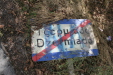Thumbnail img_6207.jpg 