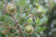 Thumbnail img_6213.jpg 