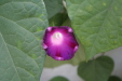 Thumbnail img_6216.jpg 