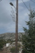 Thumbnail img_6218.jpg 