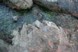 Thumbnail img_6252.jpg 