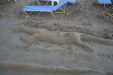 Thumbnail img_6267.jpg 