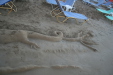 Thumbnail img_6268.jpg 