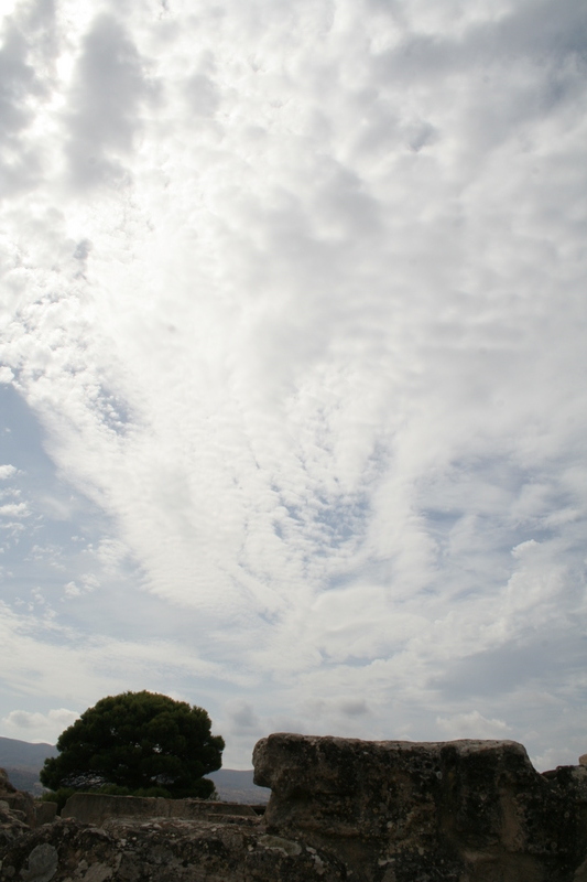 img_5851.jpg 
