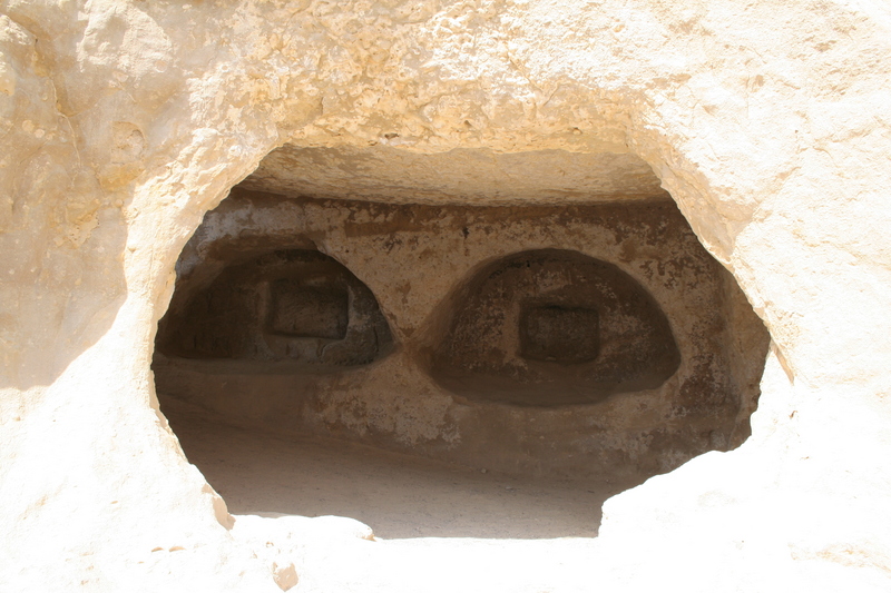 img_5904.jpg 