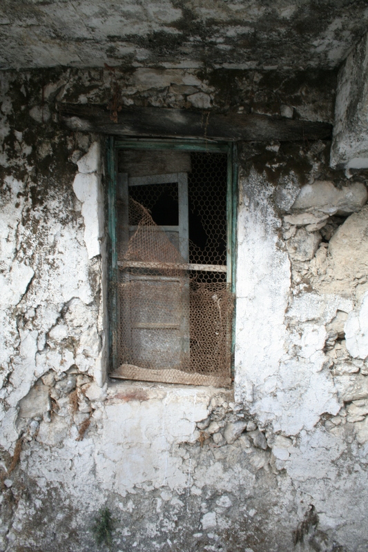 img_5942.jpg 