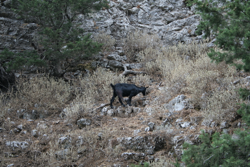 img_5995.jpg 