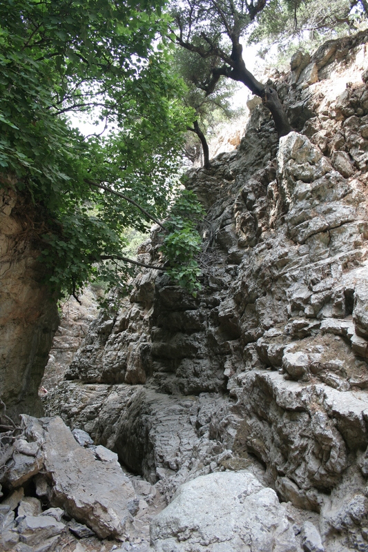 img_6004.jpg 