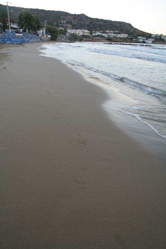 img_6264.jpg 