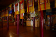 Thumbnail _mg_8042.jpg 