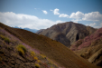 Thumbnail _mg_8218.jpg 