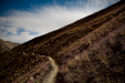 Thumbnail _mg_8250.jpg 