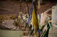 Thumbnail _mg_8421.jpg 