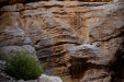 Thumbnail _mg_8523.jpg 