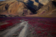 Thumbnail _mg_8885.jpg 