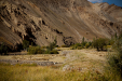 Thumbnail _mg_9101.jpg 