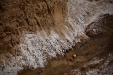 Thumbnail _mg_9207.jpg 