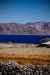Thumbnail _mg_0165.jpg 