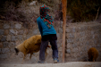 Thumbnail _mg_9250.jpg 