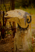 Thumbnail _mg_9404.jpg 
