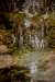 Thumbnail _mg_9431.jpg 
