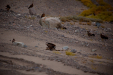 Thumbnail _mg_0018.jpg 