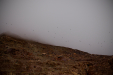Thumbnail _mg_9544.jpg 
