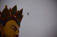 Thumbnail _mg_9565.jpg 