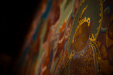 Thumbnail _mg_0209.jpg 