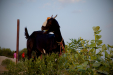 Thumbnail _mg_0617.jpg 