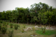 Thumbnail _mg_0656.jpg 