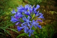 Thumbnail img_1240.jpg 