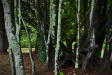 Thumbnail img_1286.jpg 