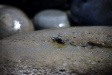 Thumbnail img_1314.jpg 