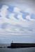 Thumbnail img_1341.jpg 