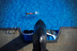 Thumbnail img_1508.jpg 