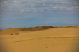 Thumbnail _mg_1188.jpg 